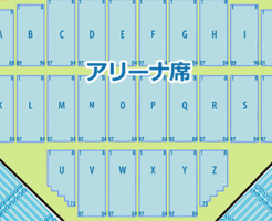 日本武道館　アリーナ席　タイプ2